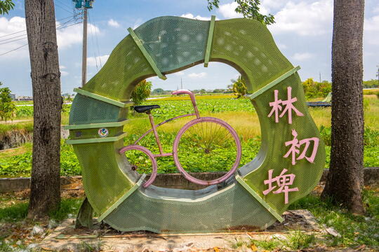 Ride bike from kapok road to lotus park to view lotus in Baihe