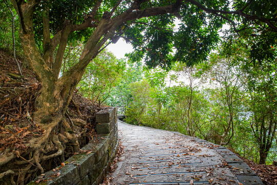 伍龍步道沿途都能看到梅嶺風景區不同的景觀