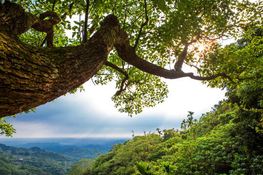 Looking down the mountain from the trail of Meiling Scenic Area