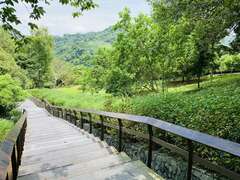 紅葉公園は、お客様が歩く遊歩道があります。夏は蝶を見られて、冬は紅葉を見られます。