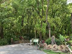 新化林場內樹蔭環繞有多條步道提供遊客健行４～５月可賞螢７～８月可賞蝶