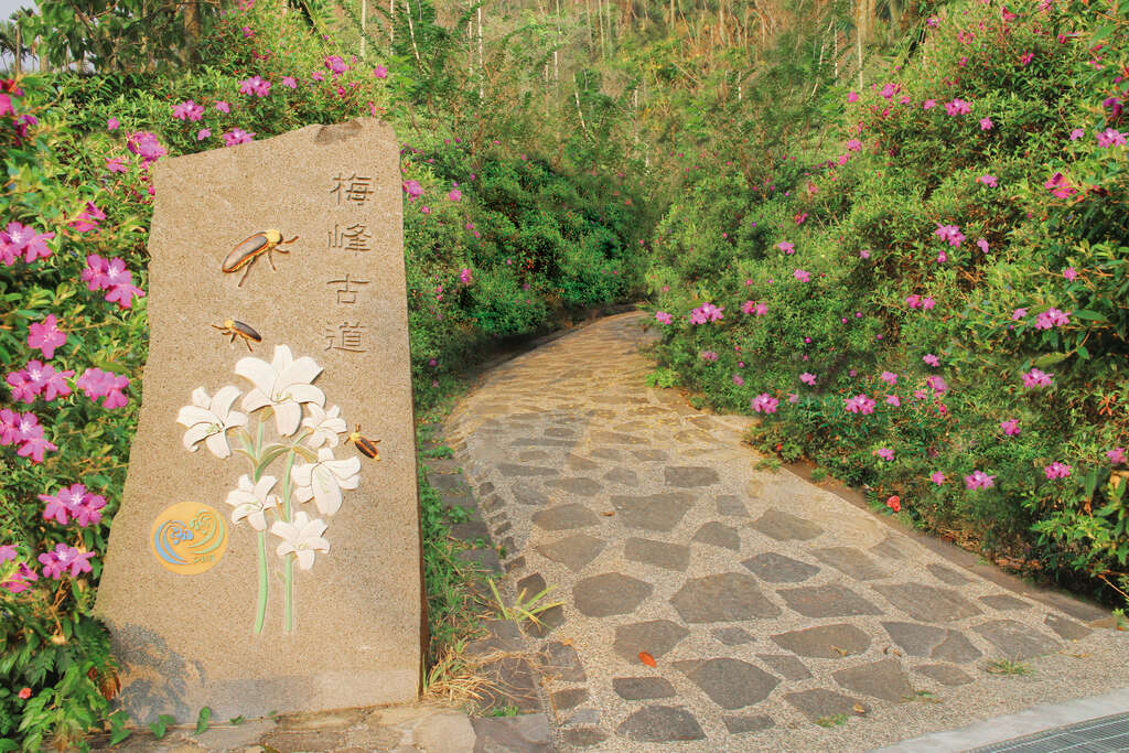 梅嶺梅峰古道