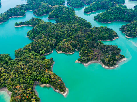 Wushantou Reservoir has the reputation of "Coral Pool"