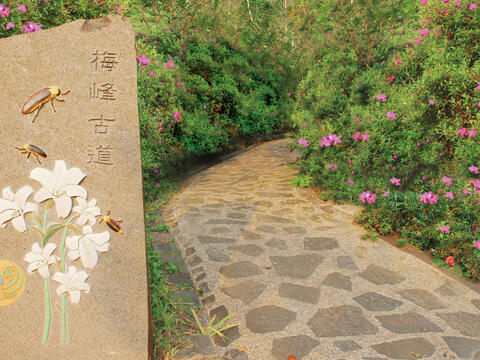 Entrance of Meifeng old trail at Meiling