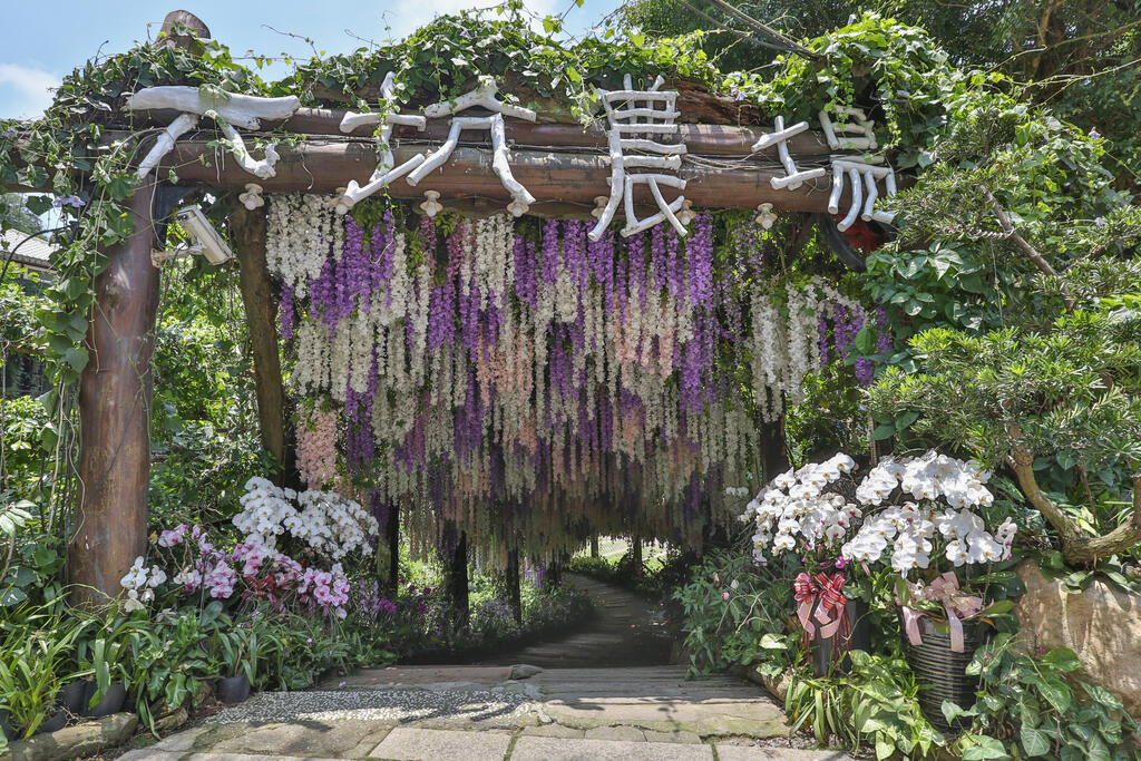 大坑休閒農場錫藤花隧道入口