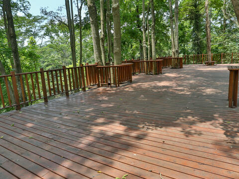 The landscape platform and large turf in the forest farm are the favorites of children