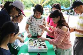 Poke game at Butterfly Festival