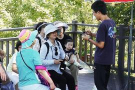 The staff explains the process of purple crow butterfly marking