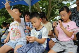 Children are listen attentively to the staff's commentary of purple crow butterfly marking