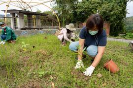 関子嶺地元業者は植栽イベントを参加する