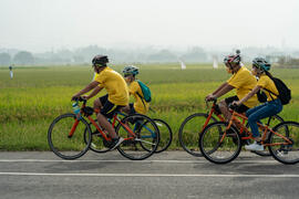 The route passes by the paddy field full of ears of rice