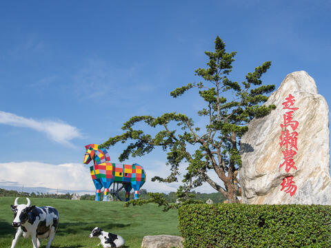 走馬瀨農場的彩虹馬是拍照熱門景點