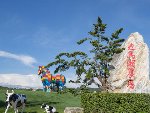 The rainbow horses at Tsou-Ma-Lai Farm are a popular photo spot