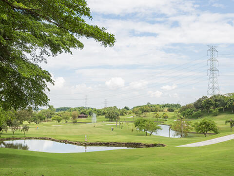 嘉南高爾夫球場大面積的水域及蜿蜒小溪貫穿整座球場