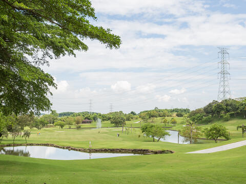 Beautiful golf course environment