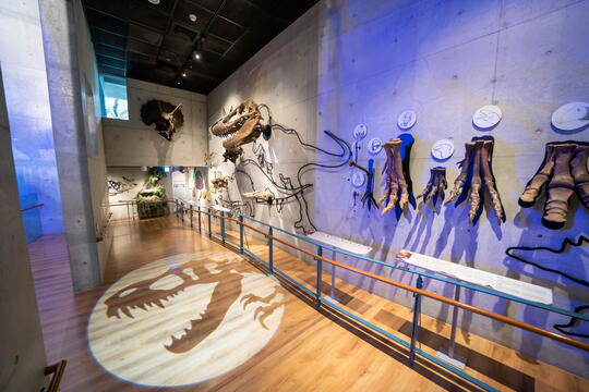 Dinosaur fossil exhibition looks like Jurassic Park