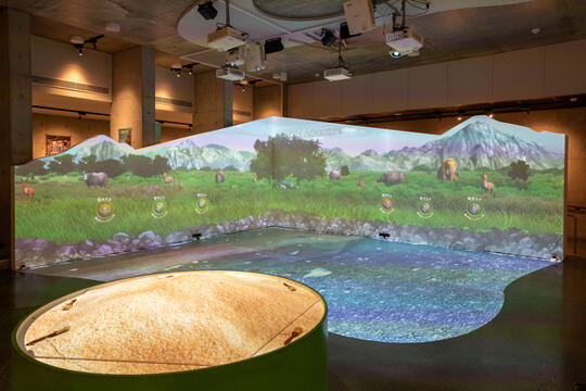 There are some interactive experience equipment in the hall, so that people can experience the job of archaeologist