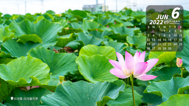 6-JUN-Siraya-月曆-橫