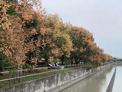 山海圳綠道美景