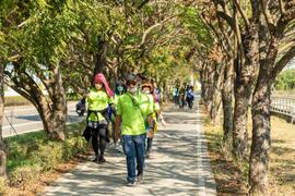 市民が圳の緑道を歩いている