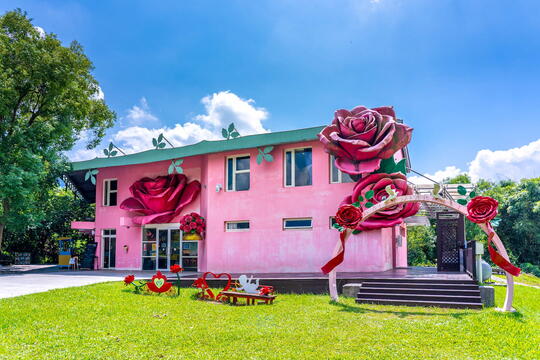大埔旅遊資訊站用浪漫的粉紅色及玫瑰花裝飾外觀