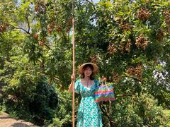 日本YouTuber裙子小姐親自採果 對西拉雅豐碩水果物產感到驚艷