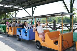 尖山埤渡假村遊園車