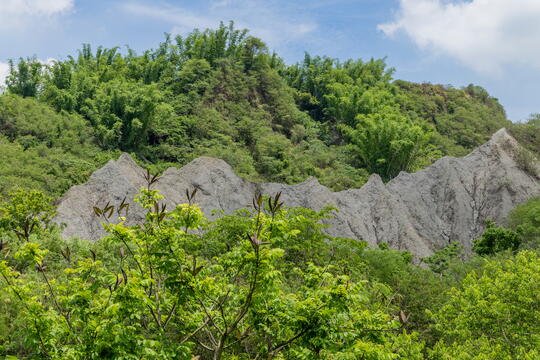 Neopu Mudstone Area Soil and Water Conservation Park