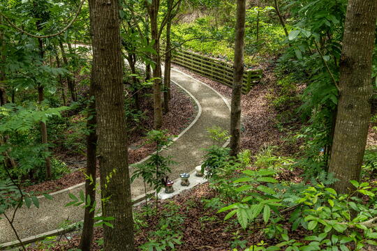 Neopu Mudstone Area Soil and Water Conservation Park