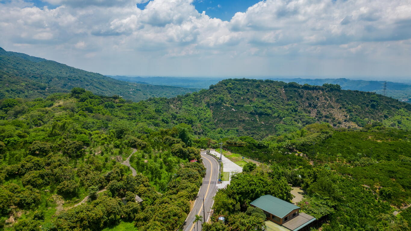 山林中蜿蜒的咖啡公路