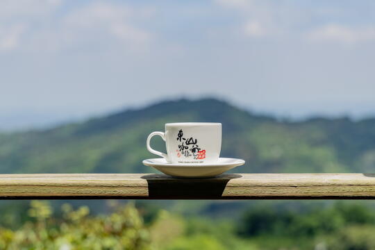 東山咖啡與綿延山巒
