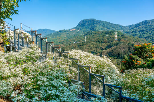 登上高處眺望美景