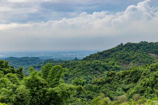 從觀景台眺望出去的美景