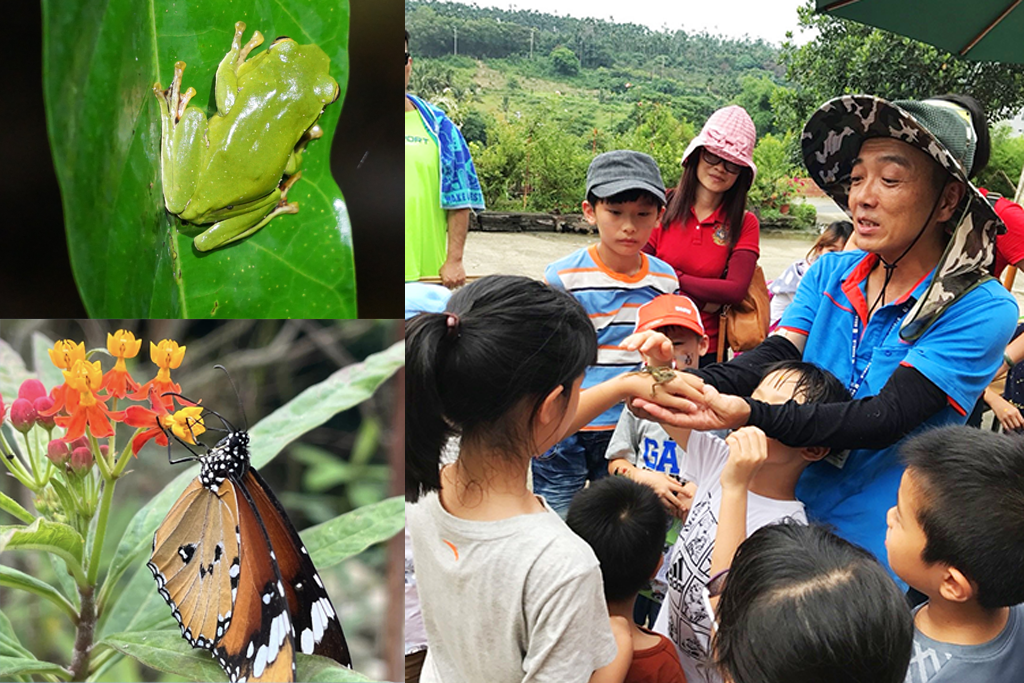蝴蝶生態教育