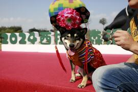 2024Siraya Grassland Festival