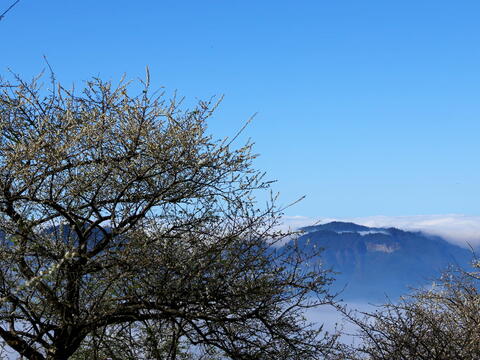 Wake up early, you can see the sea of clouds