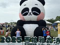 小朋友與熊貓