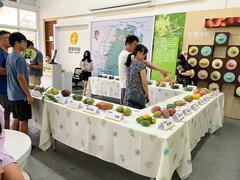 各品種芒果展示