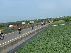 沿著菱角田邊騎行