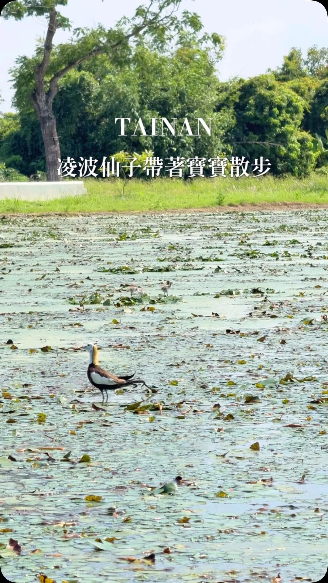 開啟聲音，仔細聽～