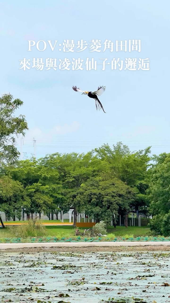 別一直待在冷氣房啦～