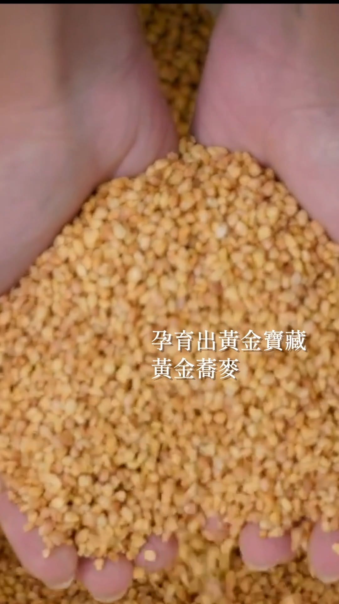 沿著黃金台三線，品嚐一段午後旅行