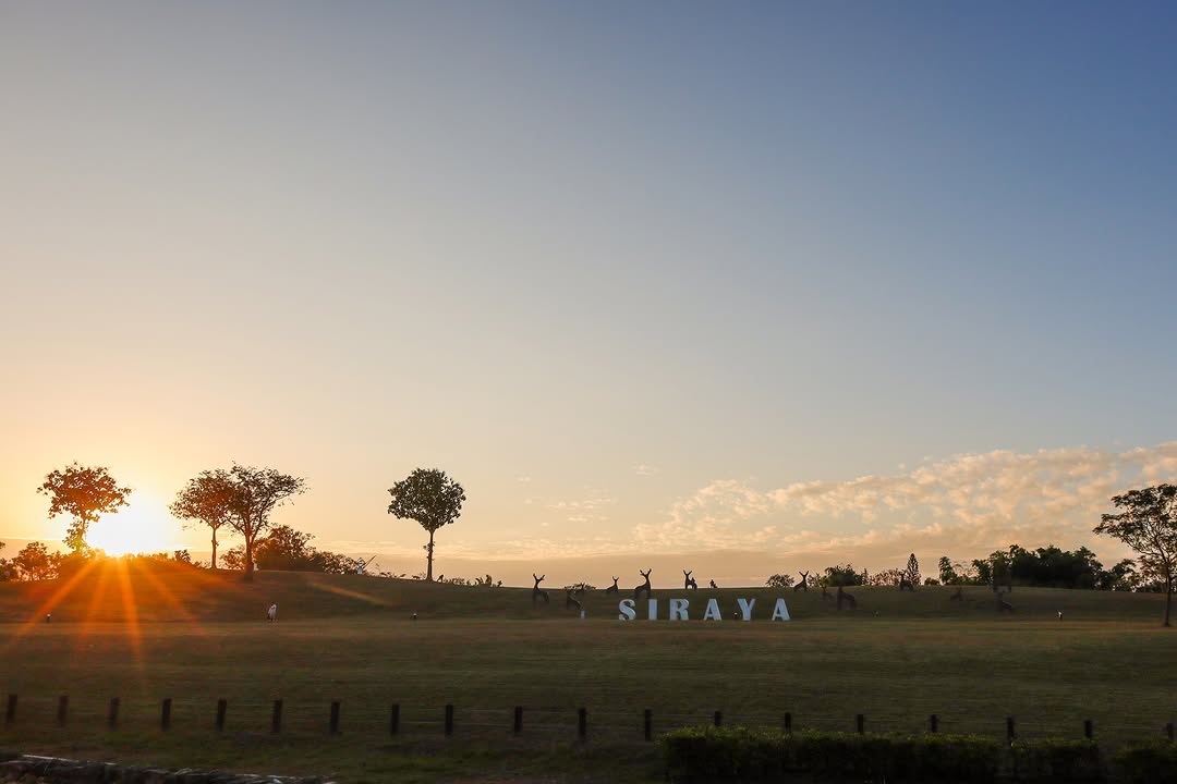 大家跨年是哪一派呢 ？~