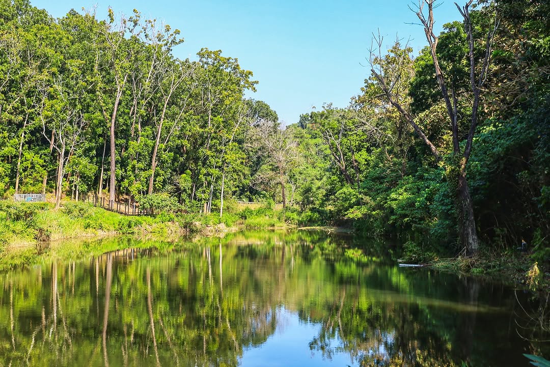 造訪山林之地林木倒映在大目降埤