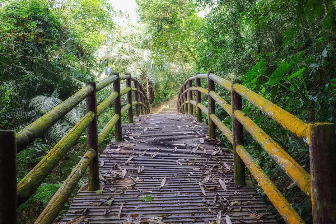 年末電量剩 10%？去 605 把電充飽再回來️
