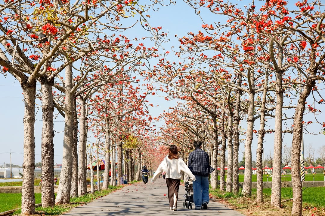 白色情人節 ‧ 漫步在白河林初埤最美的紅色隧道下 