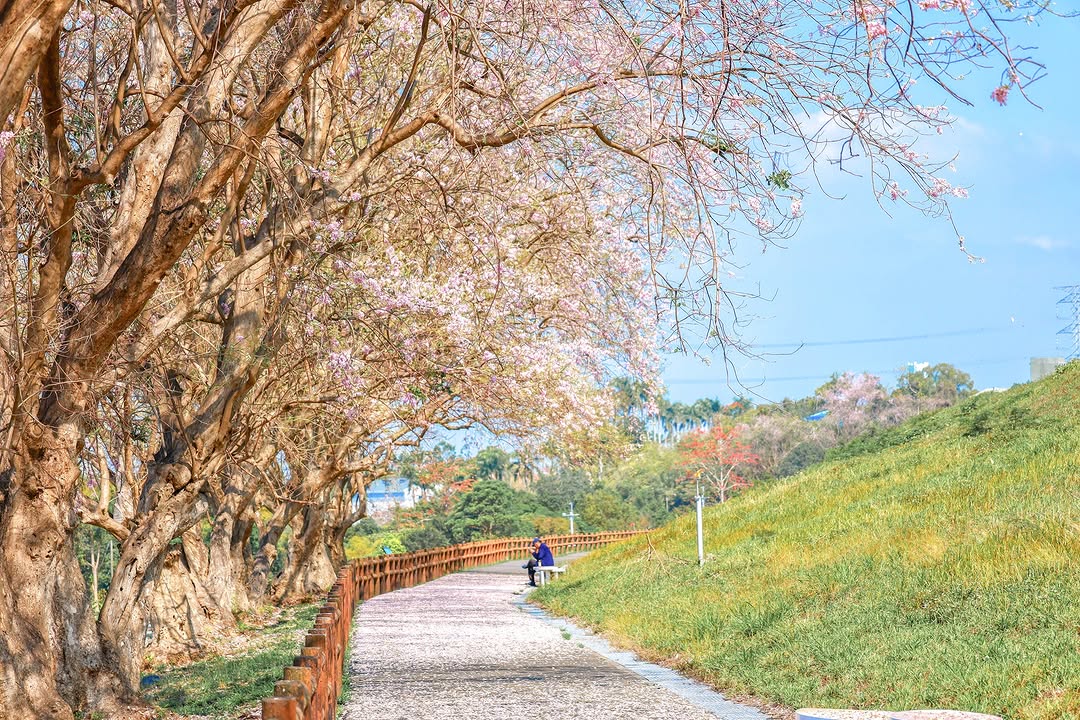 今日花況賞花囉~٩(ˊᗜˋ*)و✧