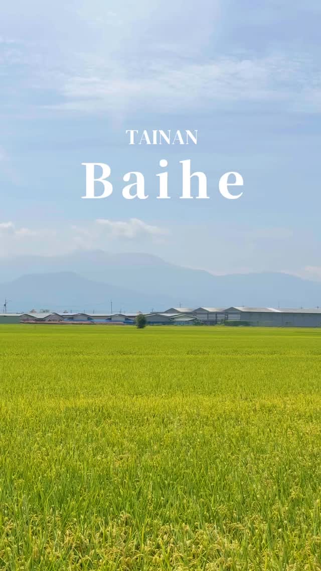 迎面而來的夏日氣息